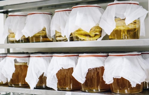 fermentazione di kombucha