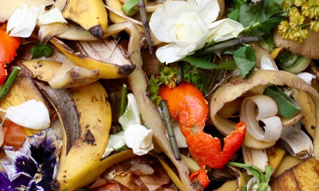 Diminuire l'impatto ambientale  e proteggere gli ecosistemi: i principali obiettivi dell'upcycled food.