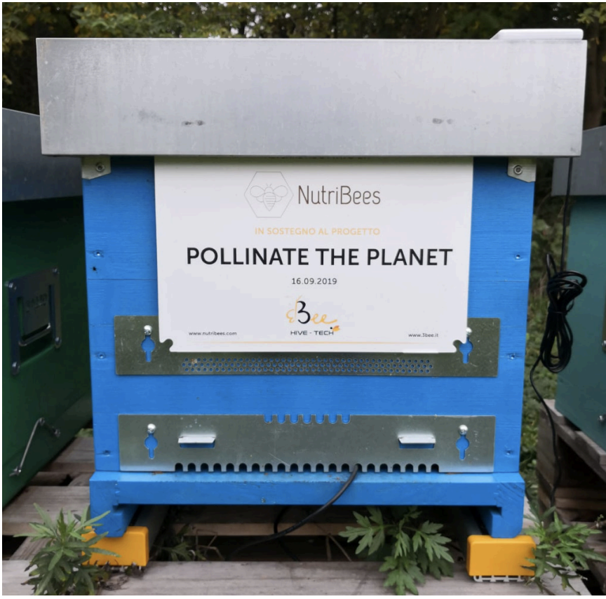 Alveare di NutriBees