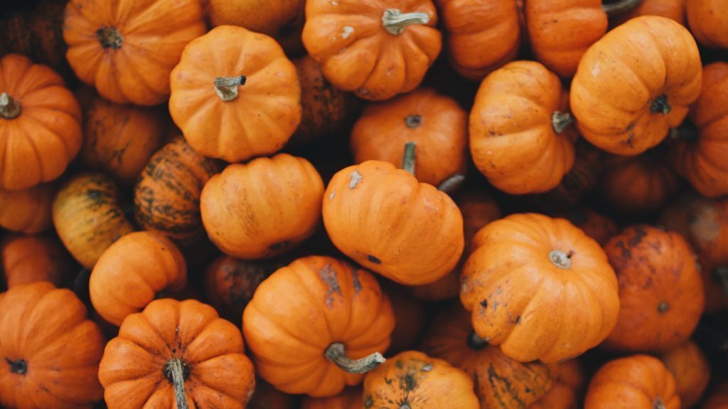 Ricette con la zucca