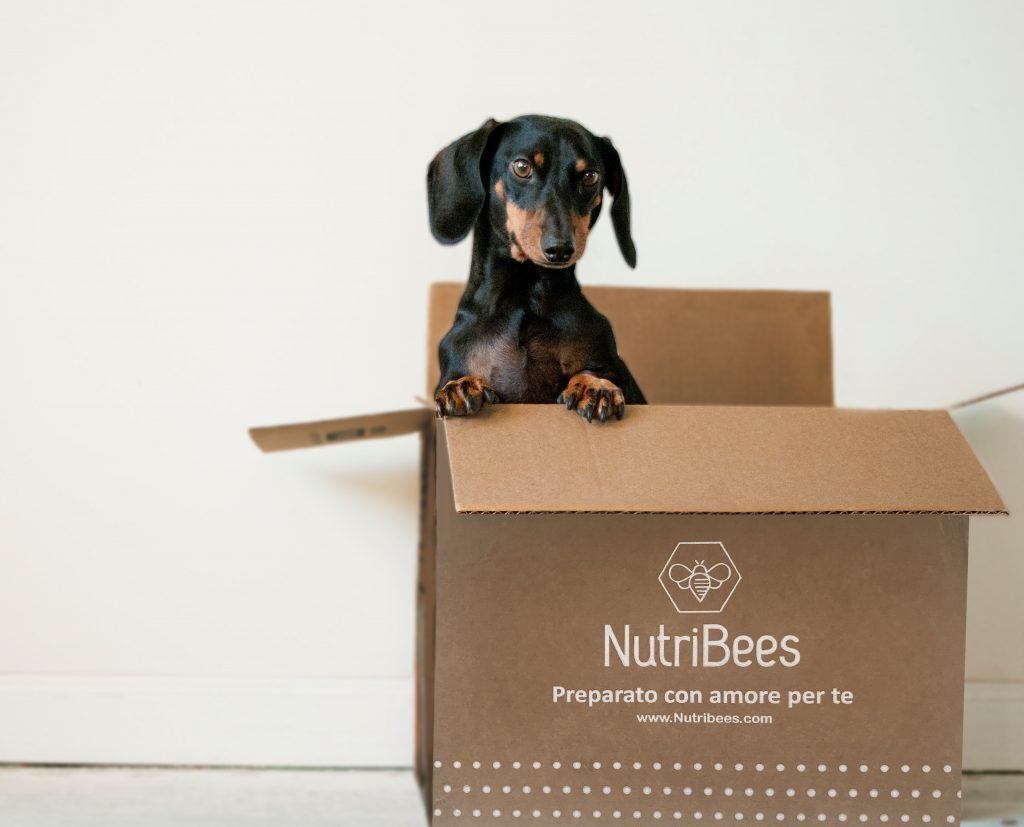 Il pacco di NutriBees
