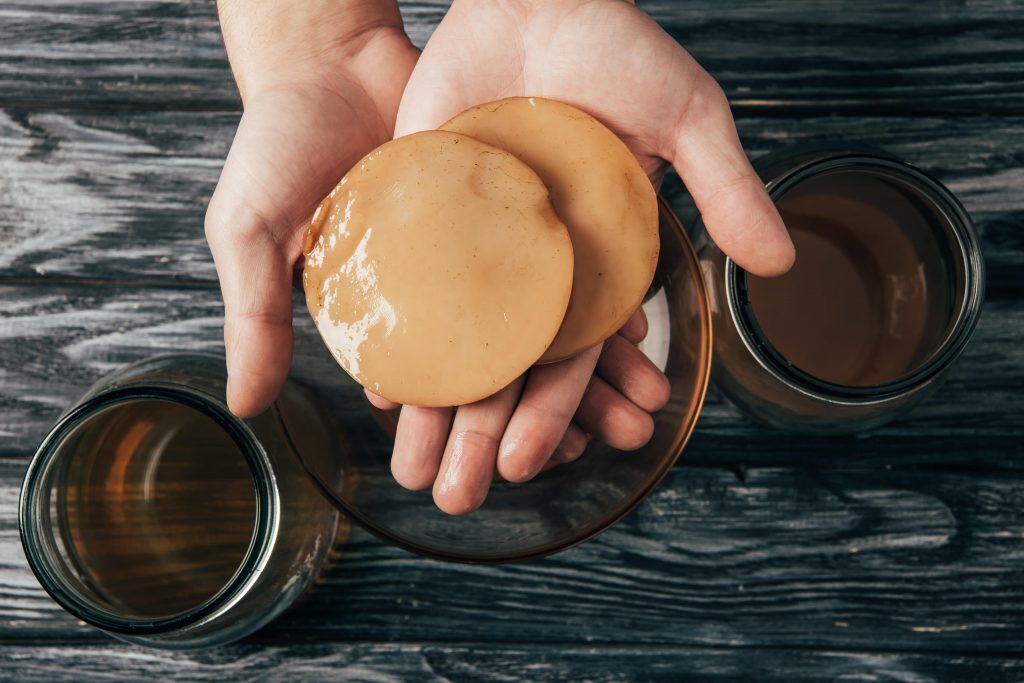Kombucha scoby